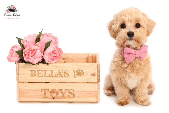 Personalised Dogs Toy Box, Pets, Cats, Custom